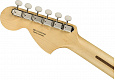 FENDER American Performer Stratocaster RW HONEY BURST