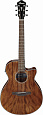 IBANEZ AEG61-NMH