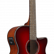 IBANEZ AEG51-TRH