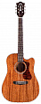GUILD D-120CE