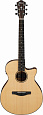 IBANEZ AEG200-LGS