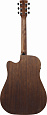 IBANEZ AW247CE-OPN