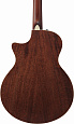 IBANEZ AE200JR-DBF