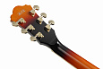 IBANEZ AG75G-BS
