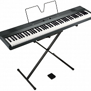 KORG L1 MG