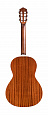 GUILD P-240 12-Fret Parlor