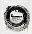 IBANEZ IEGS81