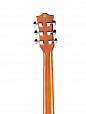 Caraya F565C-N
