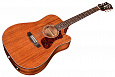 GUILD D-120CE