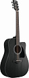 IBANEZ AW1040CE-WK