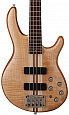 Cort Artisan Series
