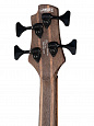 Cort B4-Element-OPTB Artisan Series