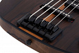 SCHECTER MODEL-T 5 EXOTIC ZIRICOTE