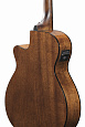 IBANEZ AEG61-NMH