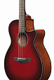 IBANEZ AEG51-TRH
