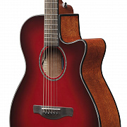 IBANEZ AEG51-TRH