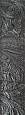 PLANET WAVES 25LE00 Embossed