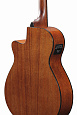 IBANEZ AEG51-TRH