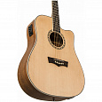 PEAVEY DW-2 CE Solid Top Cutaway w/Case