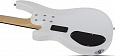 SCHECTER C-4 DELUXE SWHT