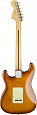 FENDER American Performer Stratocaster RW HONEY BURST