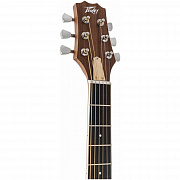 PEAVEY DW-2 CE Solid Top Cutaway w/Case