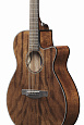IBANEZ AEG61-NMH