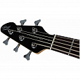 PEAVEY Milestone 5 Plus Black