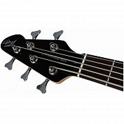 PEAVEY Milestone 5 Plus Black