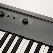 KORG L1 MG