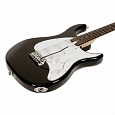 PEAVEY Raptor Plus Black SSS Black