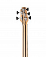 CORT A5-Beyond-WCASE-OPBN Artisan Series