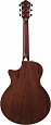 IBANEZ AE200JR-DBF