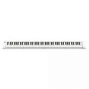 Carry-On FP-88-T