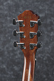IBANEZ AEG200-LGS
