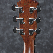 IBANEZ AEG200-LGS