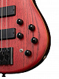 Cort B4-Element-OPBR Artisan Series