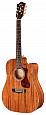 GUILD D-120CE