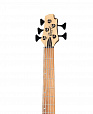 Cort B5-Element-OPN Artisan Series