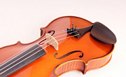 Strunal 337W-4/4
