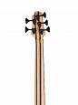 Cort A5-Plus-SC-AOP Artisan Series