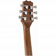 PEAVEY DW-2 CE Solid Top Cutaway w/Case