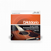 D`ADDARIO EFT13