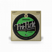 D`ADDARIO EJ25B