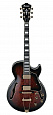 IBANEZ AG95QA-DBS
